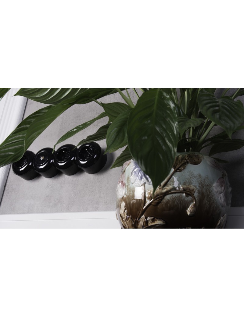 Toma de corriente 230V con toma de tierra...