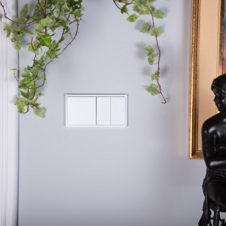 Interruptor de cruce