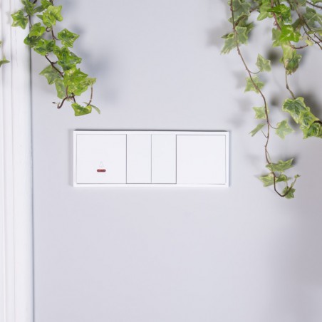 Interruptor de cruce