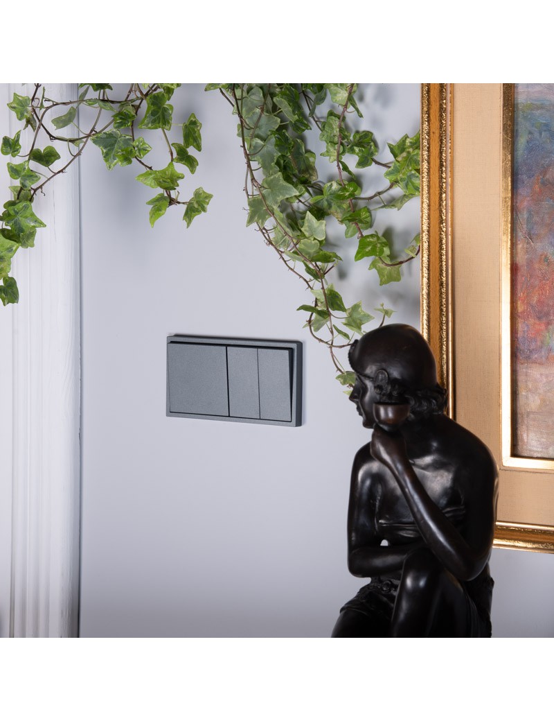 DVOJITÝ PODOMIETKOVÝ RÁM GRAFIT JLM