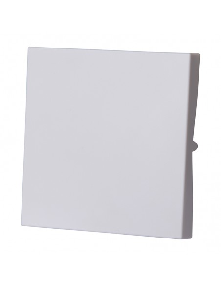 Interruptor de cruce