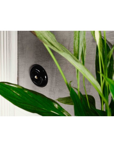 Toma telefónica RJ11