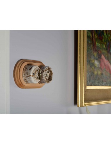 Enchufe 230V con clavija de tierra