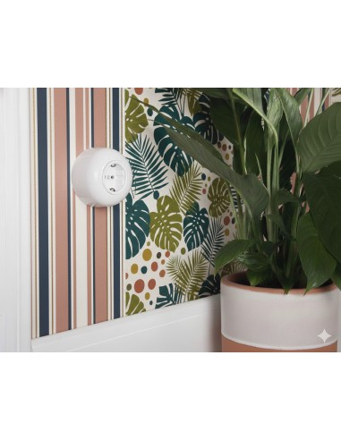 LOFT PRISE 230V SCHUKO BLANCHE EN APPLIQUE...